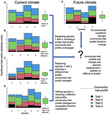 The Who or the How? Species vs. Ecosystem Function Priorities in Conservation Ecology